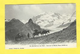 sw Nahbild von Maultiertransport Zermatt Lac Noir+Monte Rosa