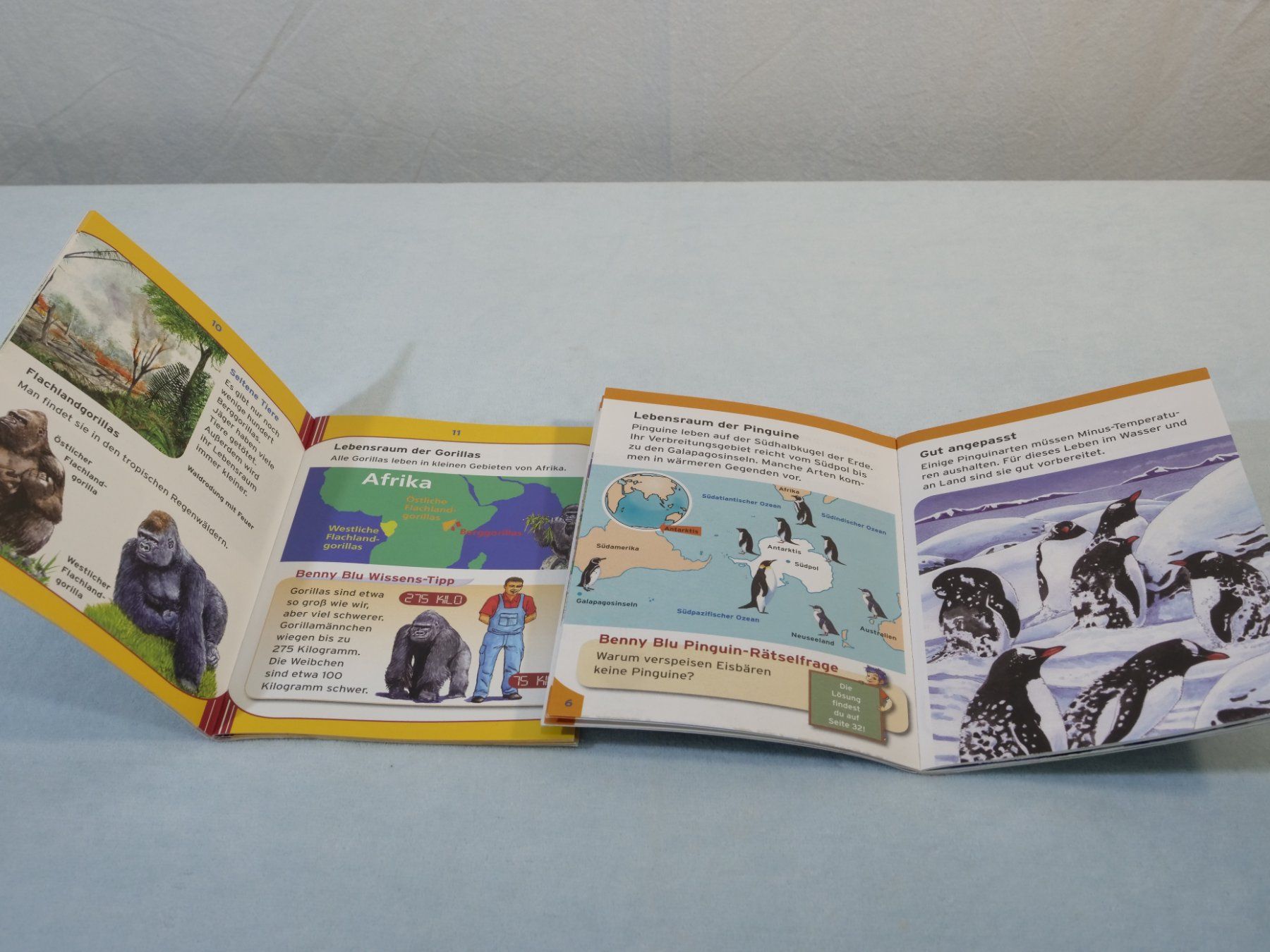 Bücher: Lot:6 verschiedene Büchlein: Benny Blu – Gebraucht aus Lustmühle von Glatisant 5