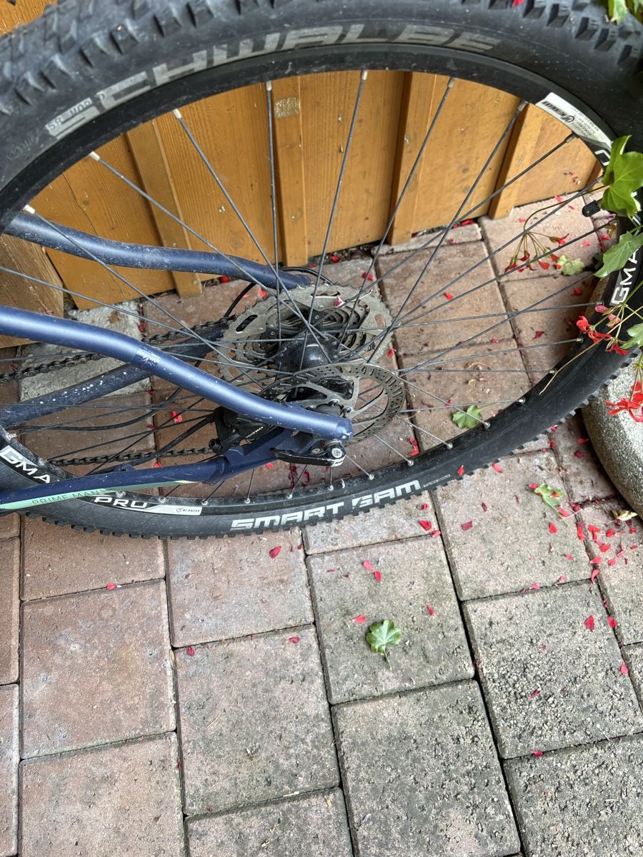 Velos: Leopard MTB – Gebraucht aus steffisburg von fluehli368 4