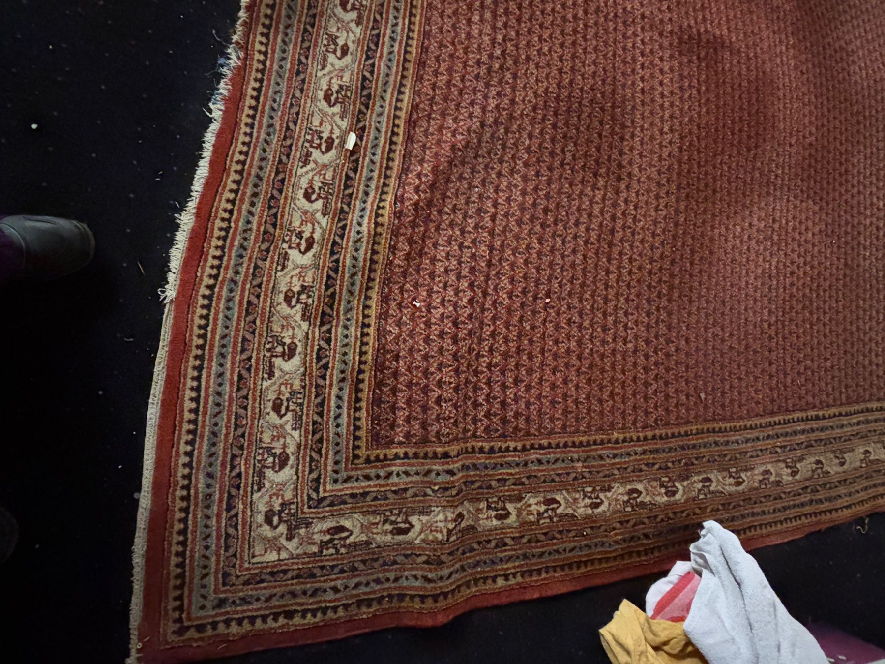 Tappeti: Teppich MIR 400x305cm – Usato da Hindelbank venduto da brm_72zv 2