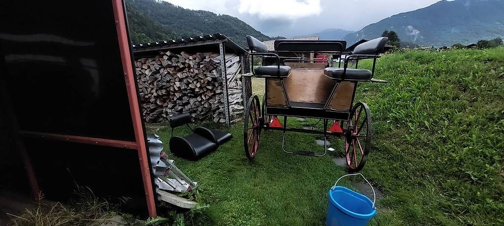 Calèches: Wagonette Kutsche – D'occasion à Wilderswil par adrian-haenggi 1