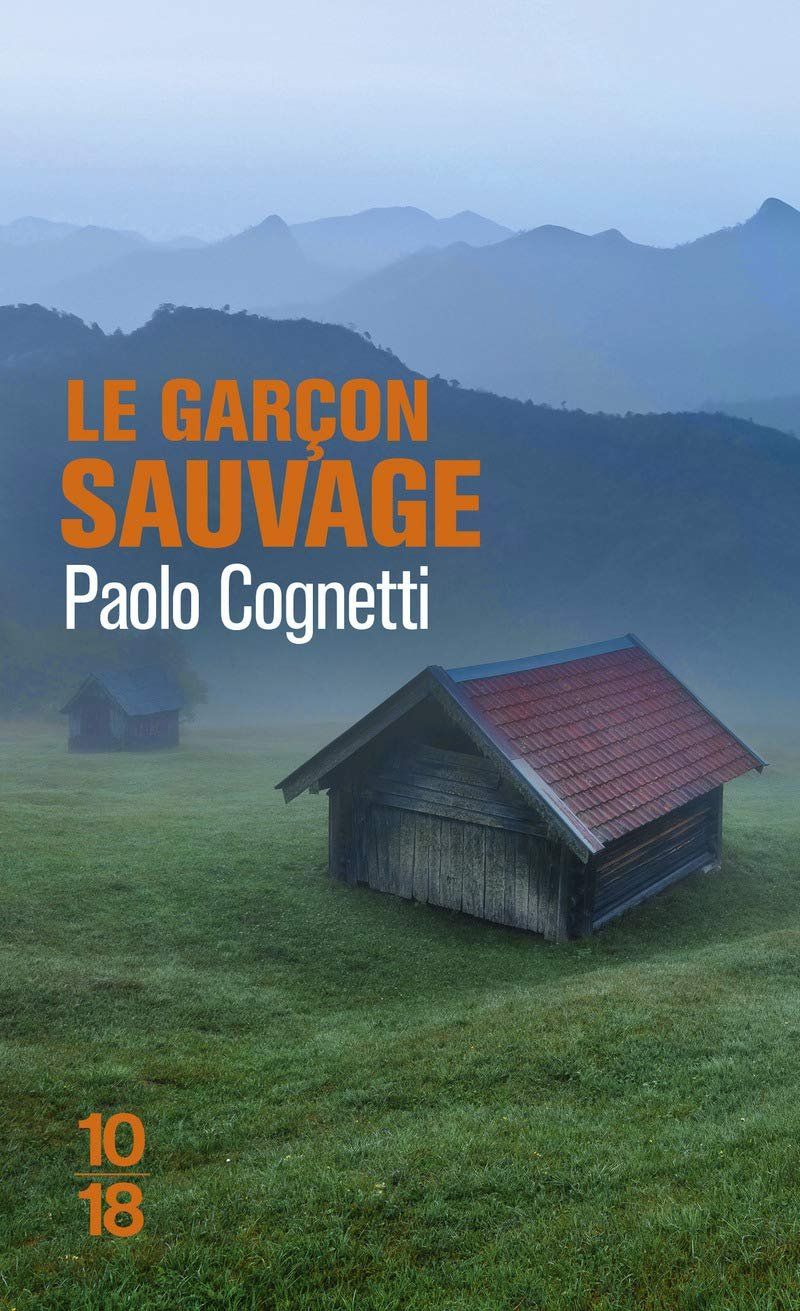 Libri: Le garçon sauvage : Carnet de montagne – Usato da Neuchâtel venduto da Dualseele