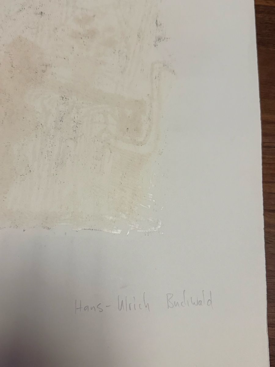 Grafica & Litografie: Hans-Ulrich Buchwald - Lithographie – Usato da Solothurn venduto da NUVICO 4