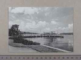 Horgen, Schiff, Schiffsteg