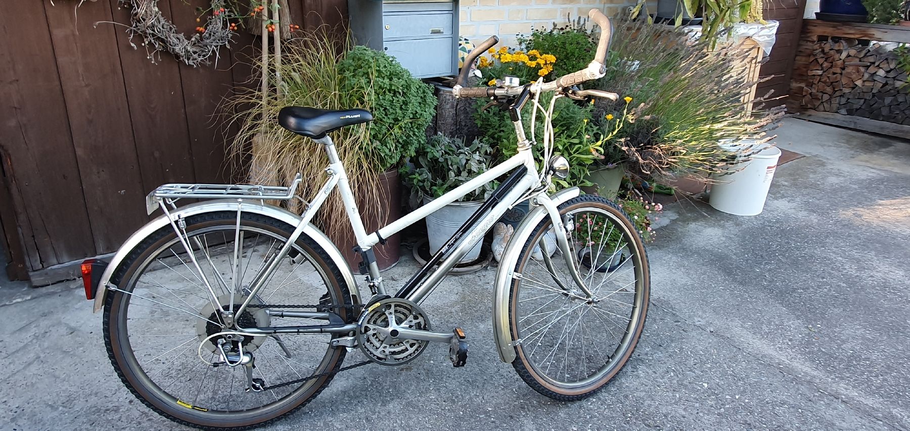 Biciclette: Damenvelo – Usato da Walzenhausen venduto da Krautilein
