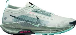 Nike Pegasus Trail 5 GTX Gr 42.5 Neu