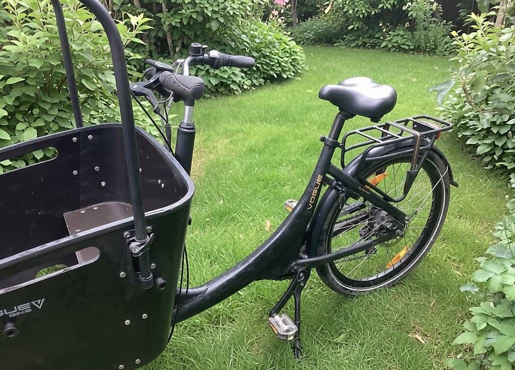 Velos: E Lastenrad – Gebraucht aus Unterkulm von 34180