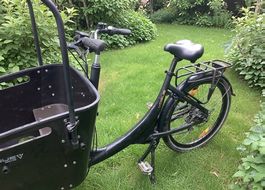 E Lastenrad