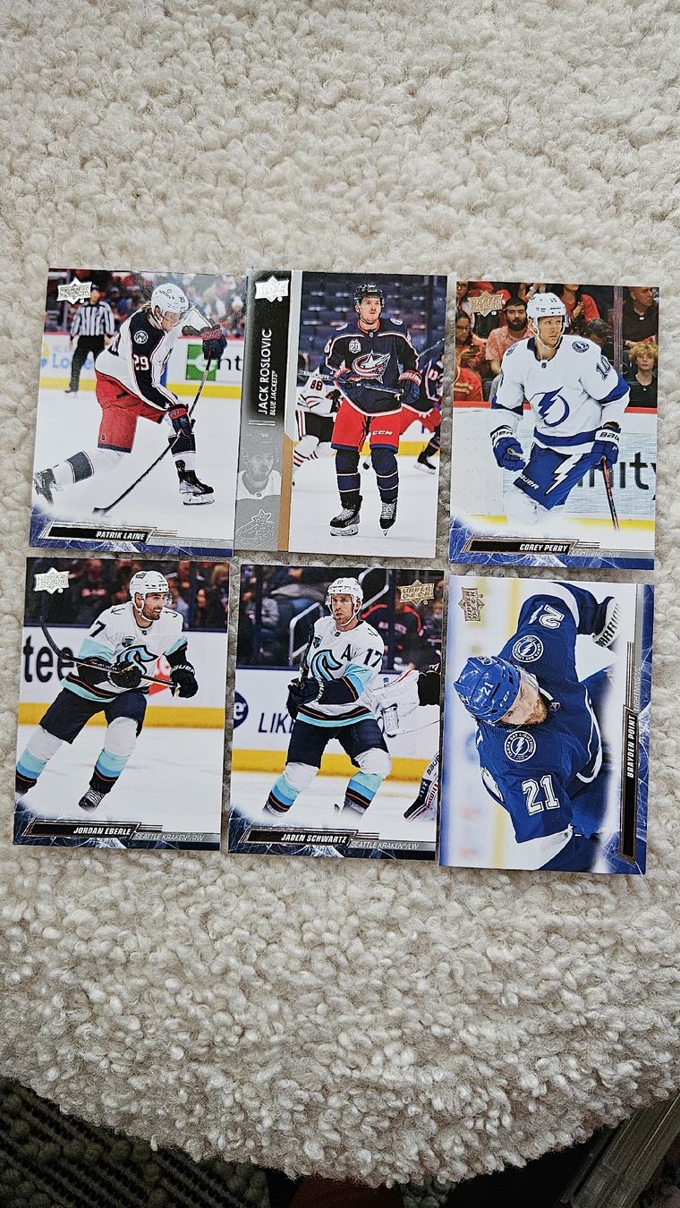 NHL Carte collezionabili: 6 cards- POINT,PERRY,ROSLOVIC,LAINE,EBERLE,SCHWARTZ – Usato da Boltigen venduto da Calagero