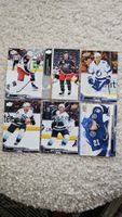 6 cards- POINT,PERRY,ROSLOVIC,LAINE,EBERLE,SCHWARTZ