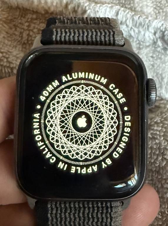 Smartwatch: Apple Watch Series 4 40mm GPS Space Grau – Usato da Siebnen venduto da gil_ts29