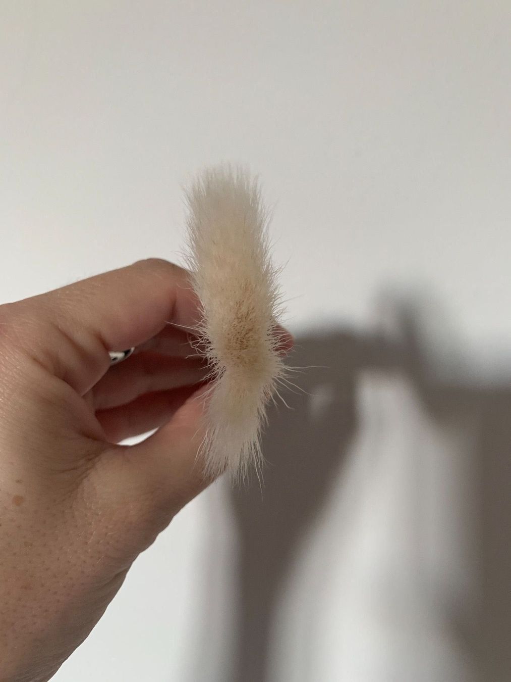 Soins du visage: Wayne Goss Brush 15 Fan, neuwertig – Neuf (Voir description) à Zürich par deruja 3