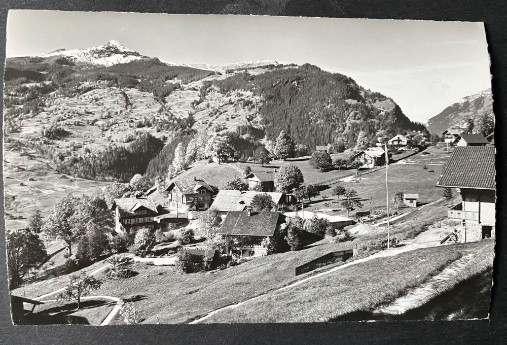 Grindelwald Stutz/Chalets/Tschuggen Kaufen auf Ricardo