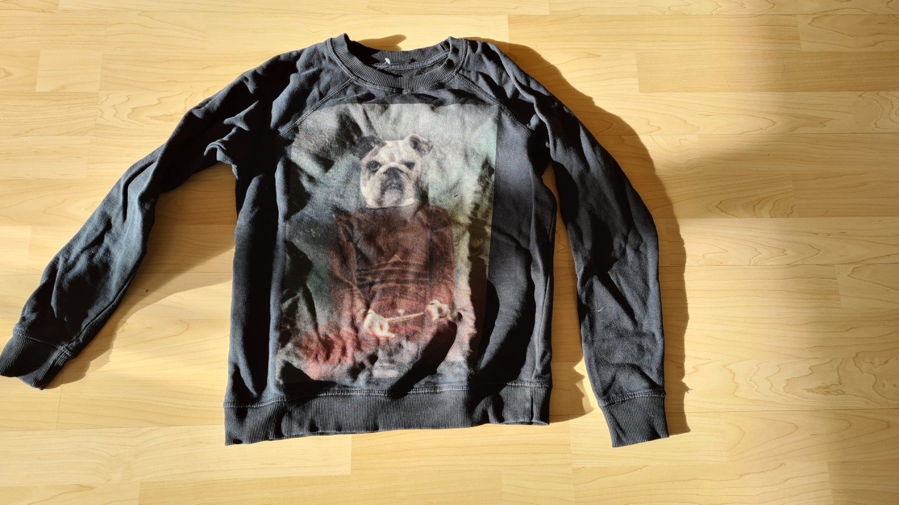 Maglioni & Felpe: Cooler Pulli mit Hundeprint, ungetragen, Gr. XS – Usato da Suhr venduto da andreas_2008 2