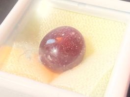 Natürlicher Rubis étoilé, 10,9ct  /Ruby