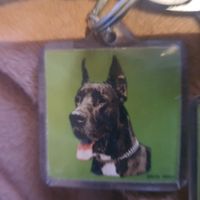 Porte-clés chien dogue avec adresse 4x4 cm