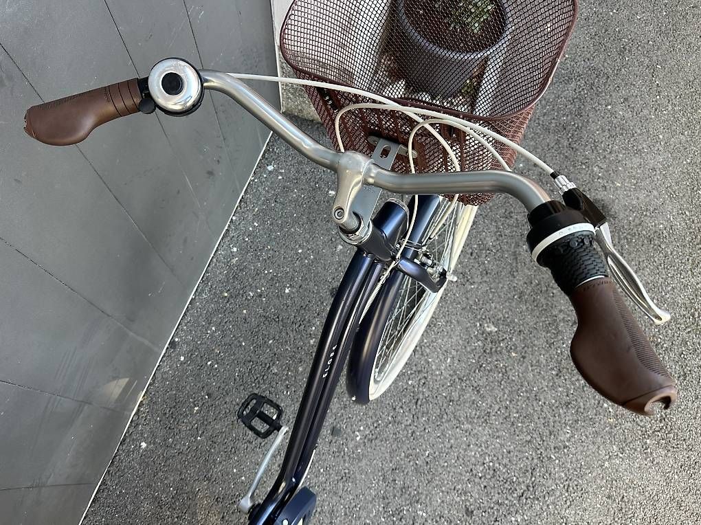 Velos: Bicicletta da donna Elops 28  – Gebraucht aus Quartino von DiloUsato 4