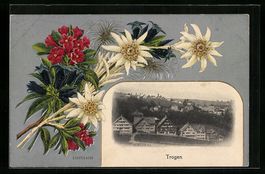 Trogen, Teilansicht aus der Vogelschau, 