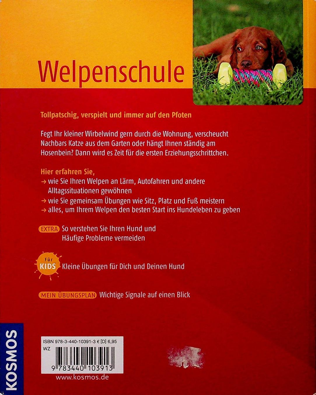 Libri: Renate Jones Welpenschule  Kosmos Verlag – Usato da Reitnau venduto da Zaomir 1