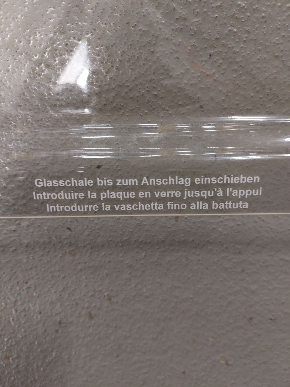 Teglie da forno: Backofen Form Blech Glas – Nuovo (secondo la descrizione) da Uster venduto da Gery8 3