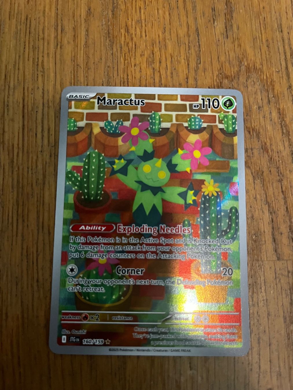Pokémon Carte collezionabili: Pokémon full art Maractus – Nuovo (secondo la descrizione) da Zürich venduto da fri00