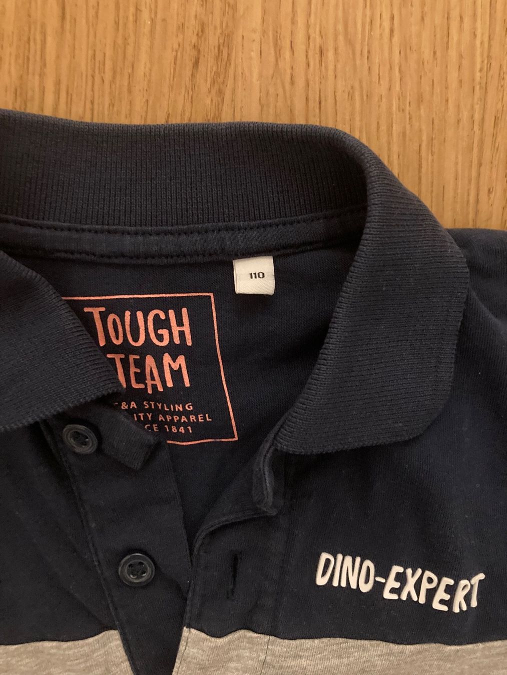 C&A Maglioni & Felpe: langarm Shirt Gr. 110 – Usato da Frauenfeld venduto da manuburg 2
