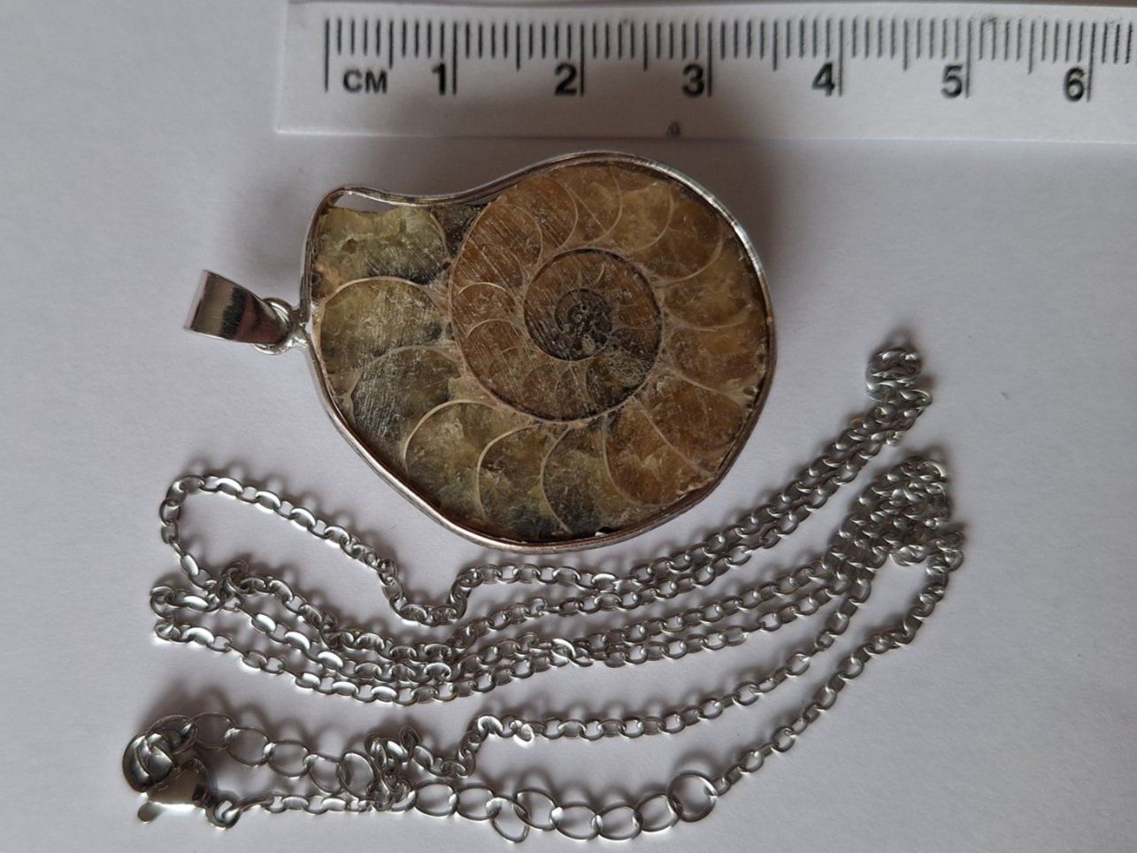 Anhänger: Fossil Anhänger Ammonit Halskette (1) – Neu (gemäss Beschreibung) aus Zürich von t24_de 1