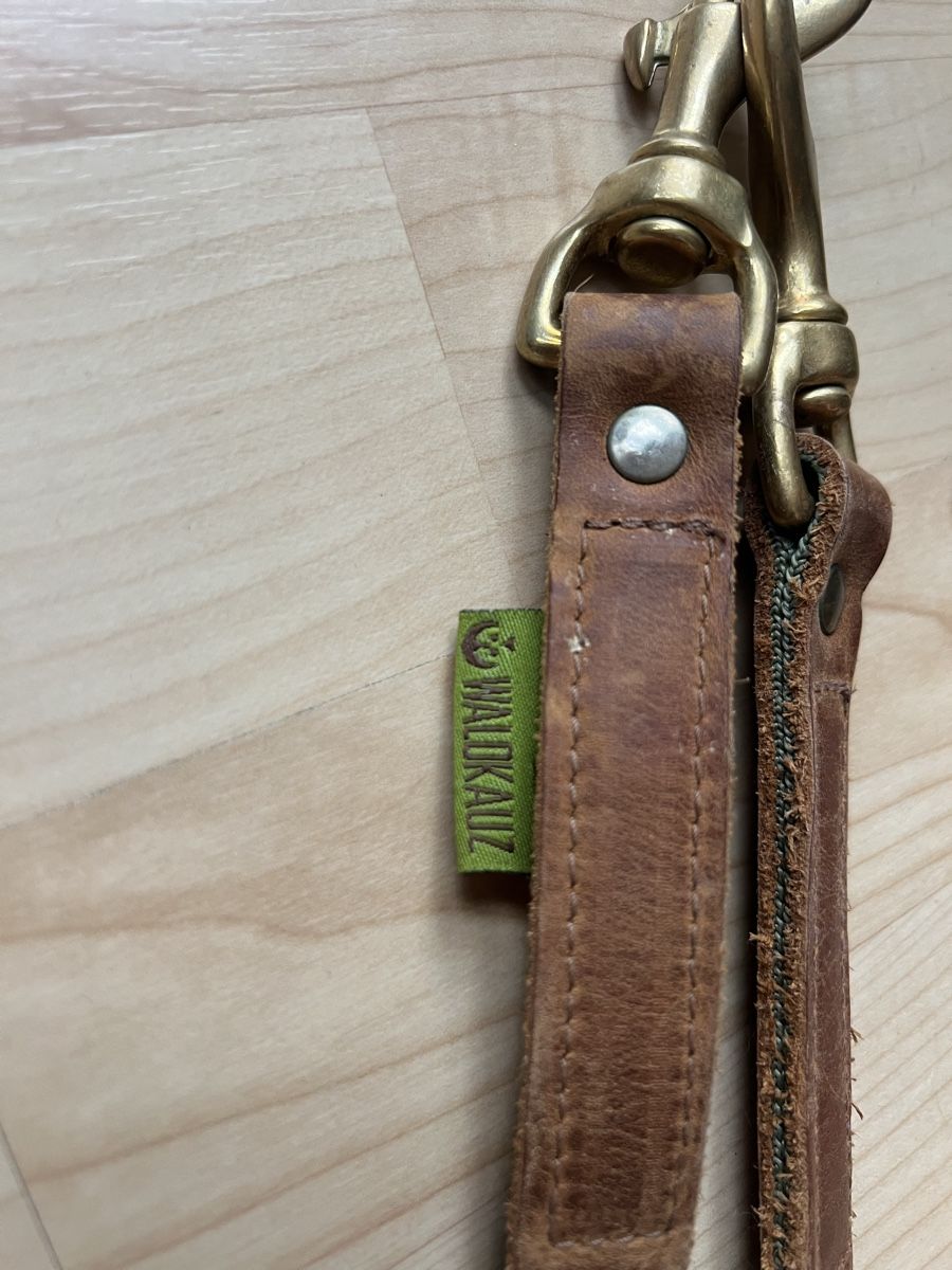 Leine & Halsband: Waldkautz Set Leine / Halsband – Gebraucht aus Rikon im Tösstal von Jenny_T3223 4