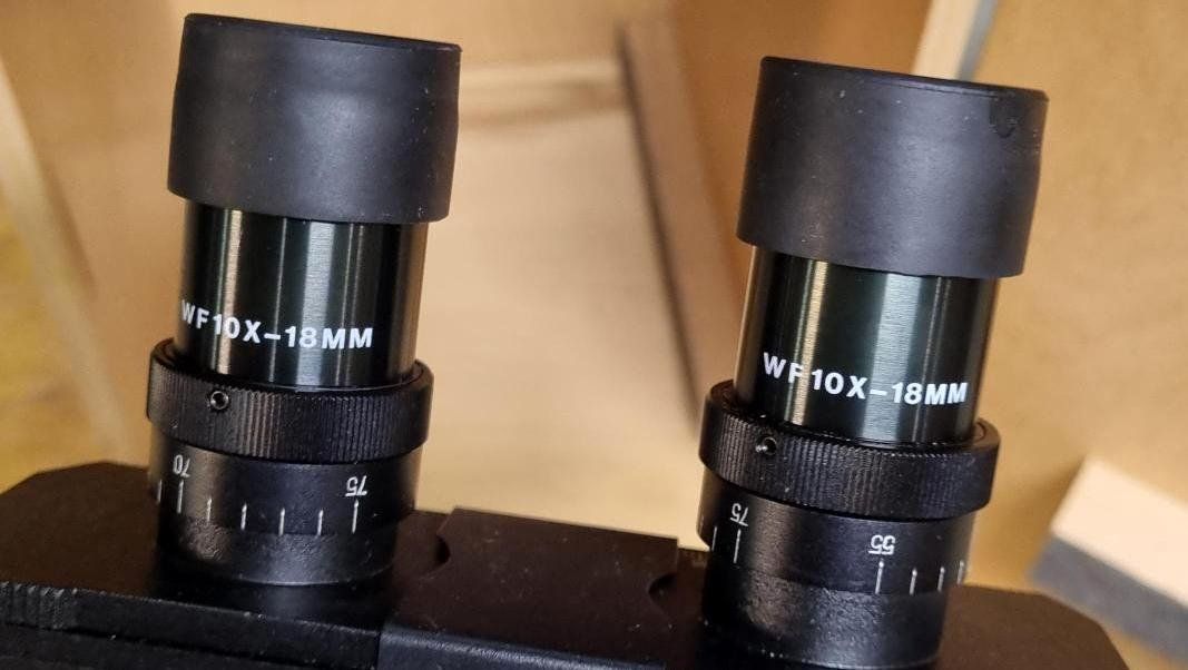 Olympus Microscopi: Eschenbach Kolleg SHB45 Mikroskop / microscope – Usato da Collonges venduto da arashee 9