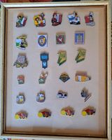 Diverse Pins