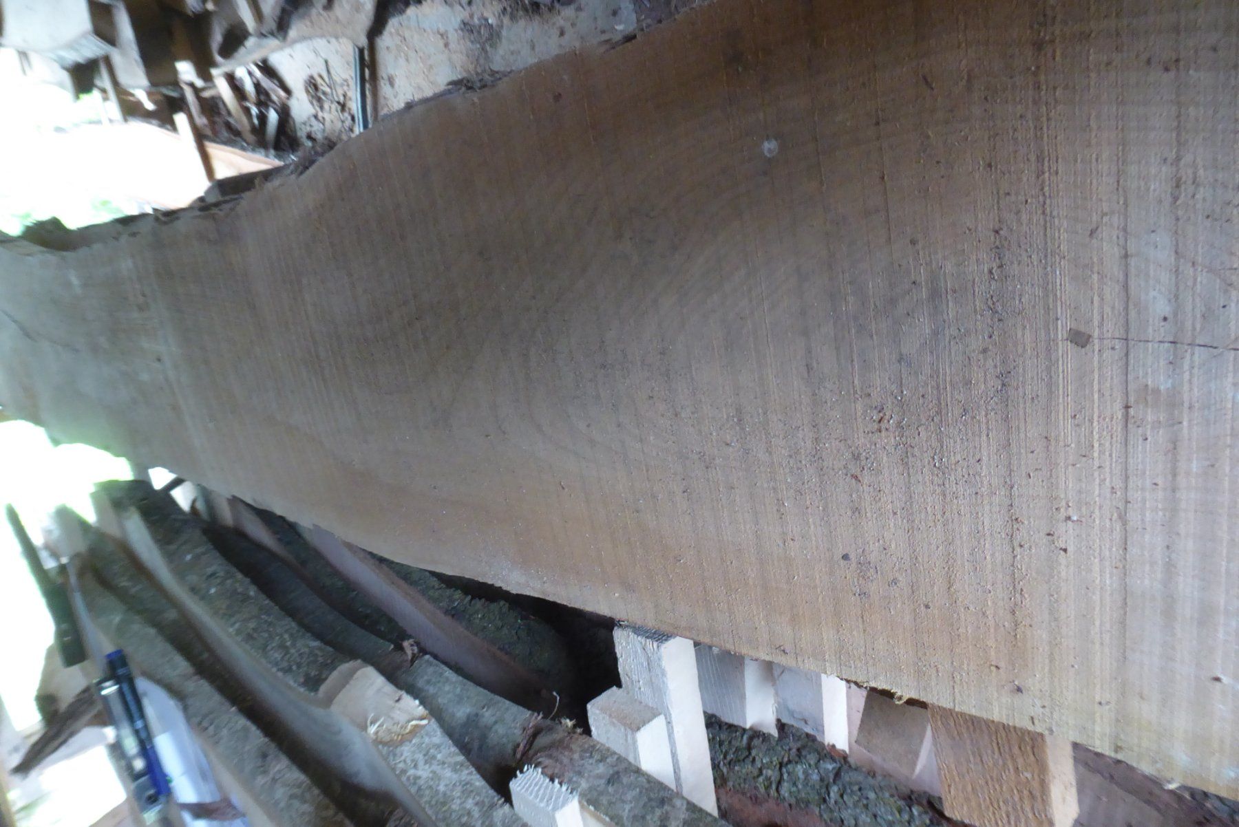Holzartikel: Kirschbaumbrett 40 mm – Neu (gemäss Beschreibung) aus Sumiswald von Hennri1