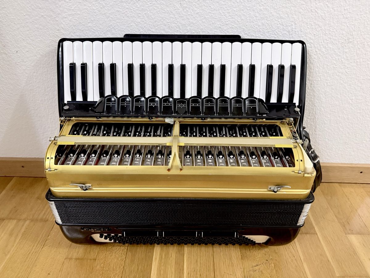Hohner Strumenti musicali: Akkordeon  – Usato da Langnau am Albis venduto da dri_59xr 1