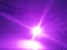 Flachkopf-LED 5mm verkabelt 12V DC, pink