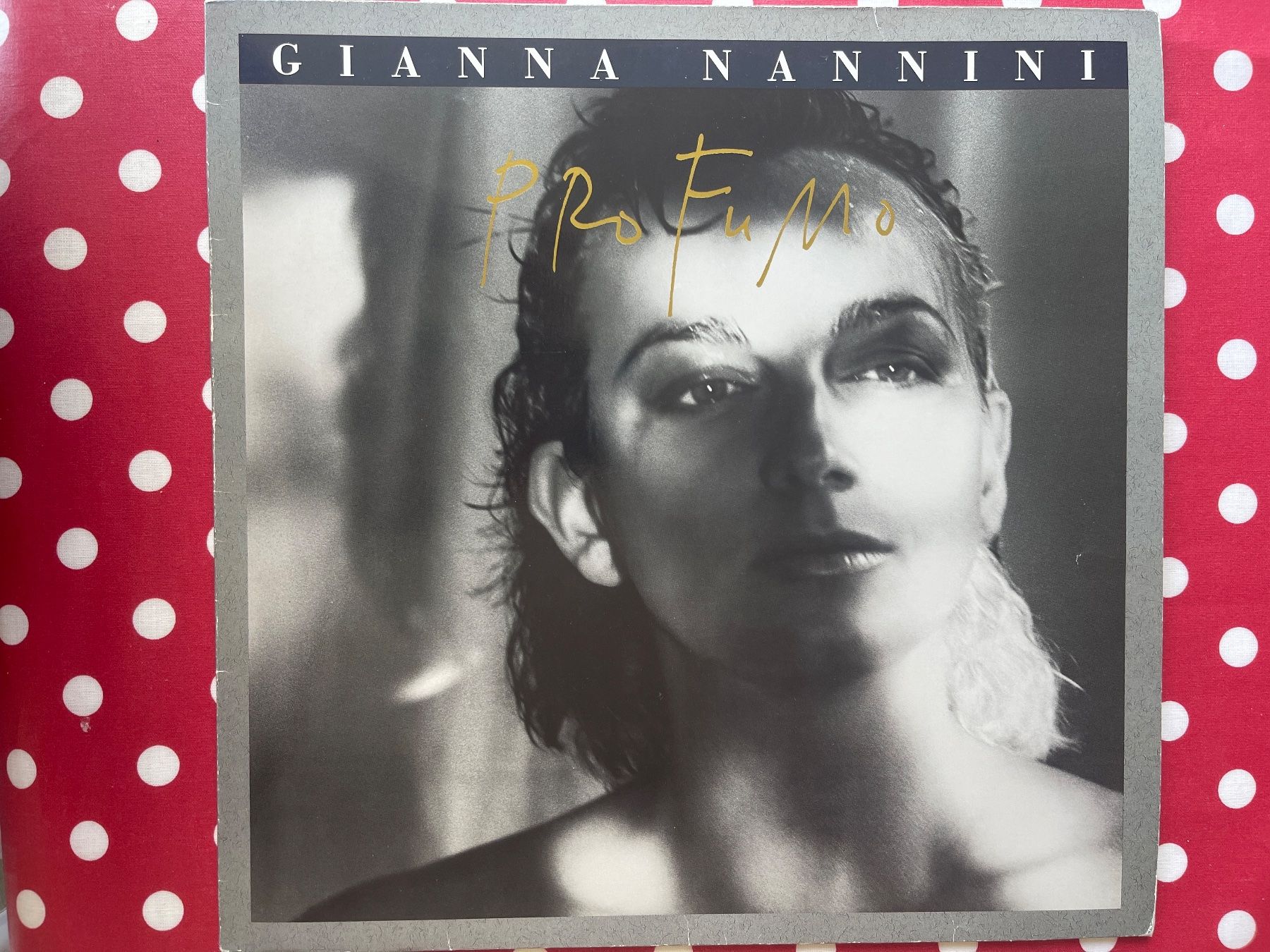 Vinyles: A490/Gianna Nannini Profumo – D'occasion à Frutigen par Philippe_jsp