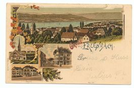 LITHO Gruss aus ERLENBACH Bahnhof. Kirche, Haus Stiefel