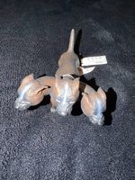 Hund Schleich Fluffy  Neu