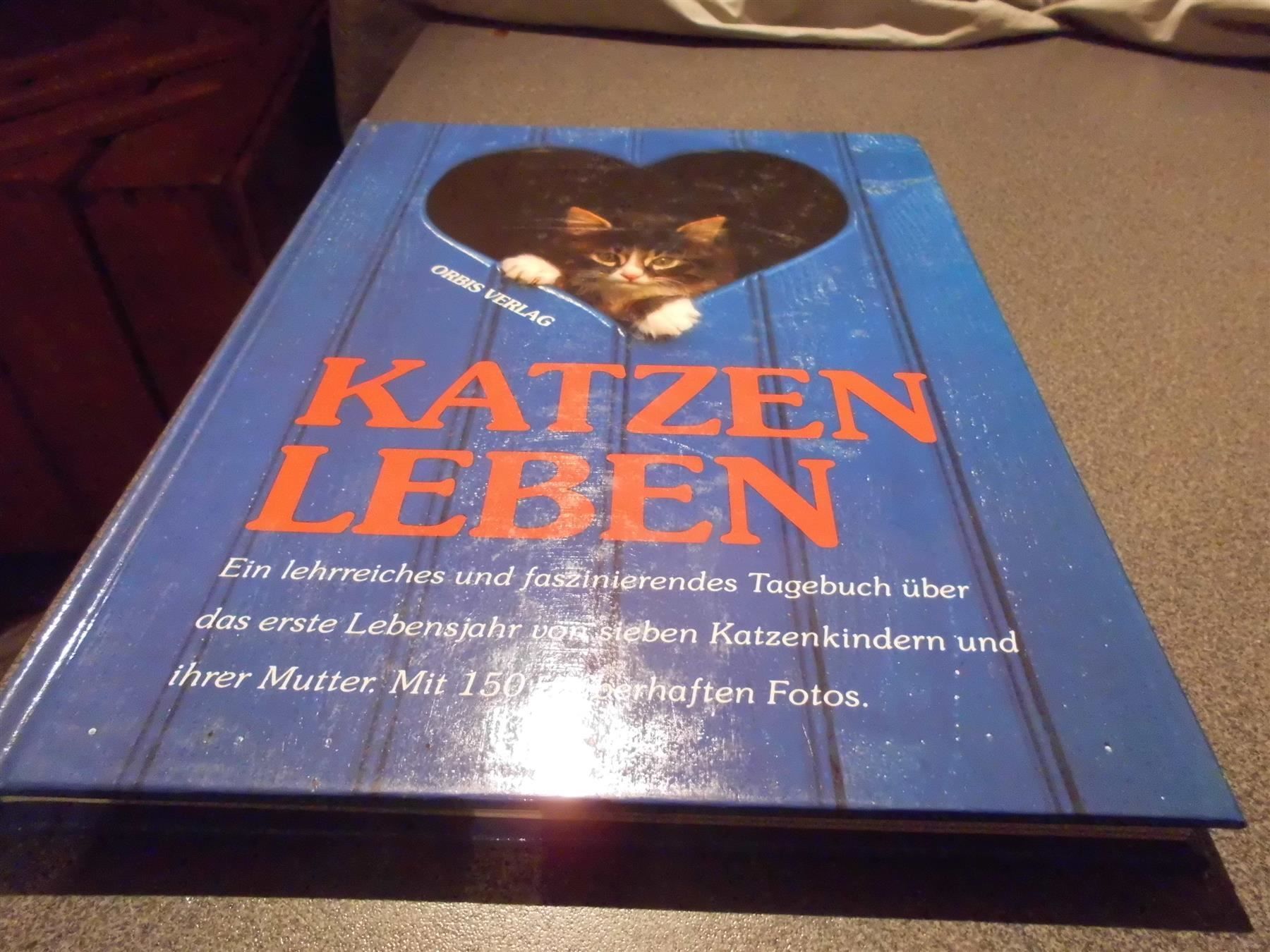Libri: Katzen Leben – Usato da Zürich venduto da abraxas1291