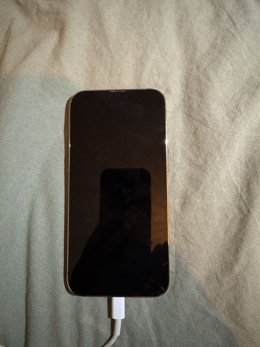 Apple Telefoni cellulari / Smartphones: Iphone 13 pro 256GB – Usato da hombrechtikon venduto da nai_6n2q