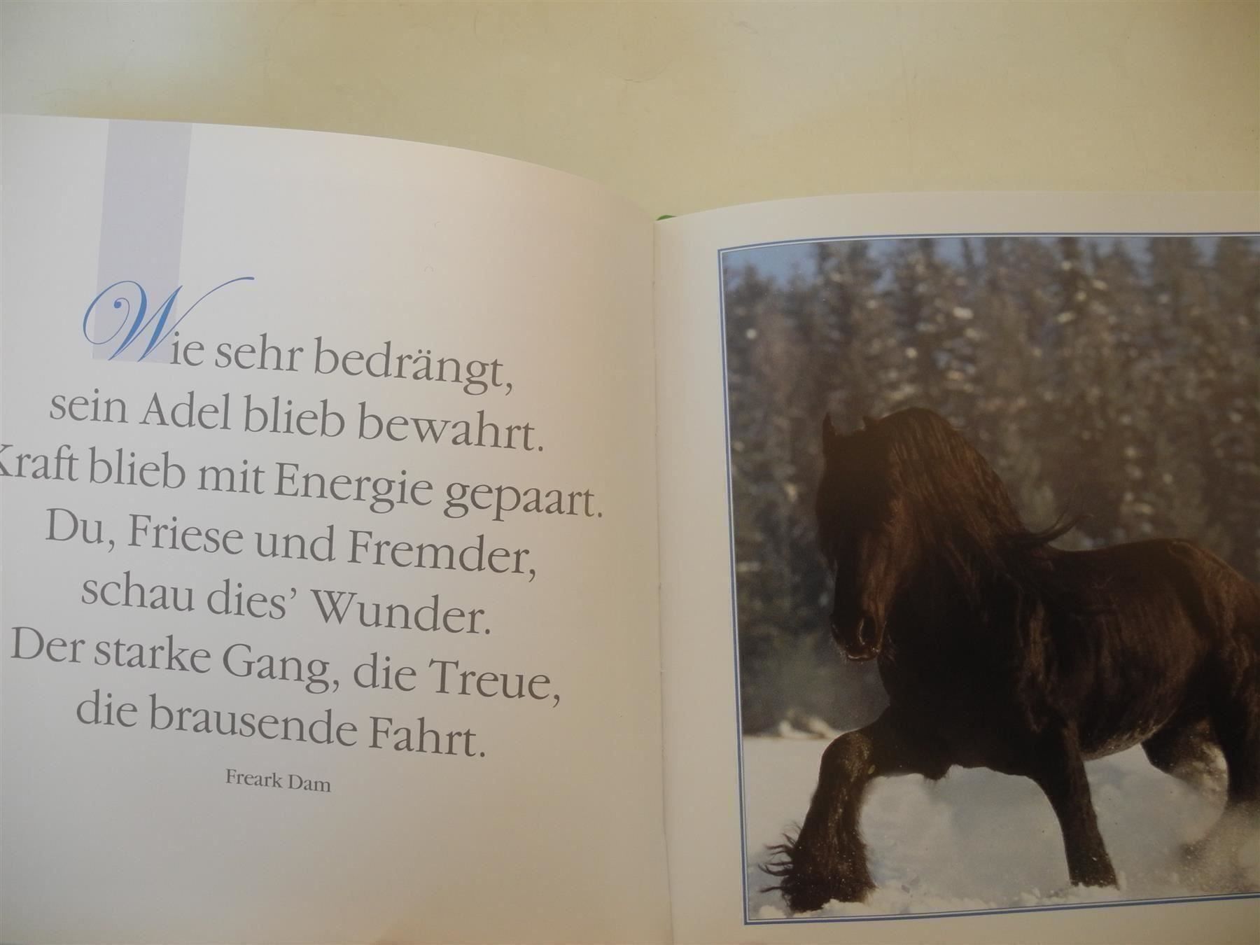 Libri: 2 Bücher "Samtpfoten u.Traumpferde", b43 – Nuovo (secondo la descrizione) da Kottwil venduto da Crazyrolf 3
