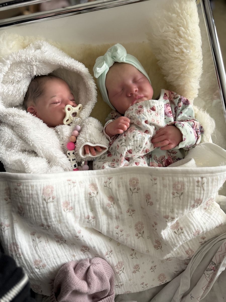 Reborn Puppen: Reborn – Neu (gemäss Beschreibung) aus Unterentfelden von van_m8g7 5