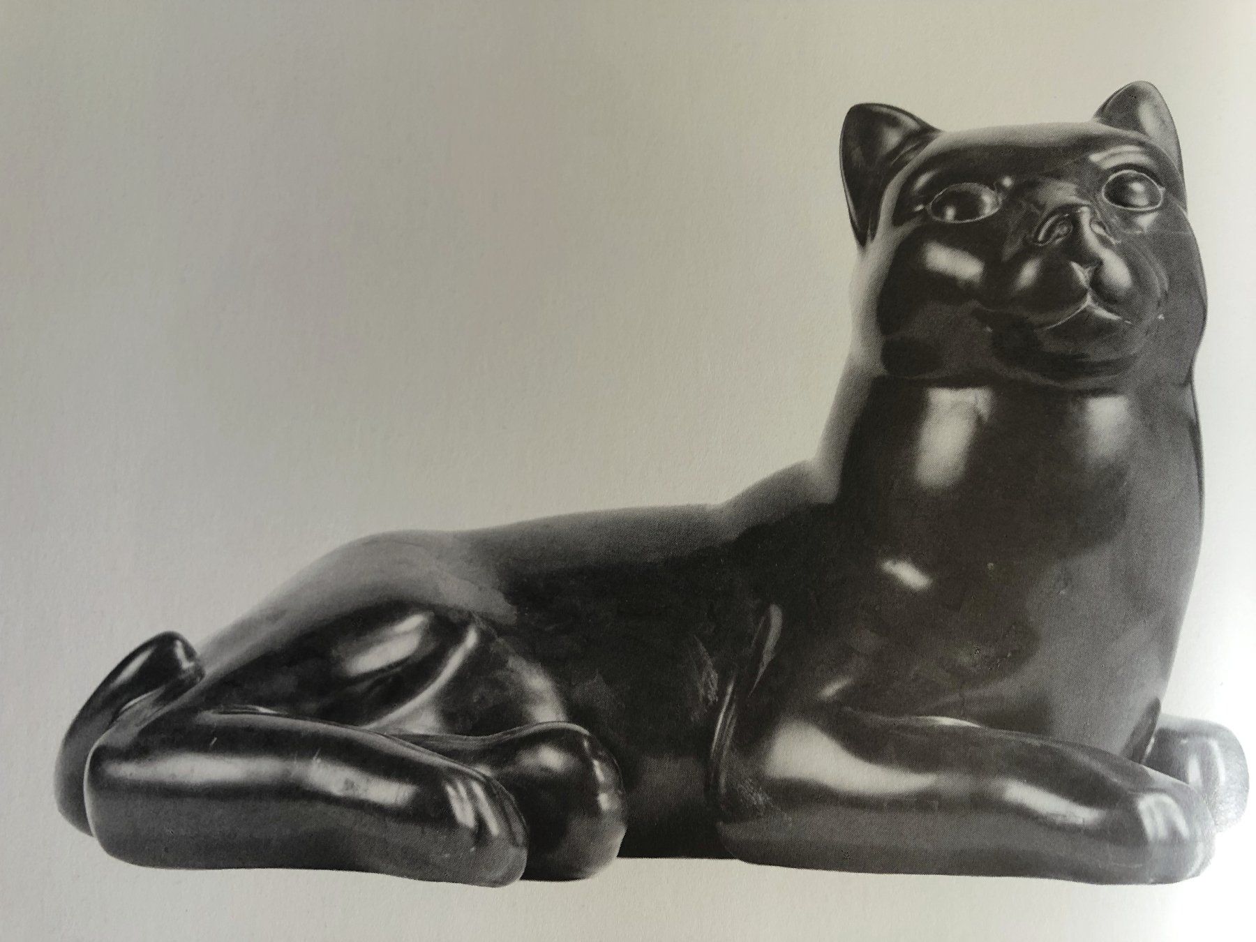 Sculture & Statue: Schönes Katzenpaar, Granit – Usato da Lohn-Ammannsegg venduto da Longjohn58