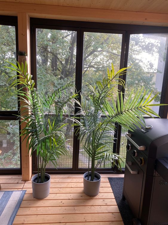 2 Ikea fake Palmen Kaufen auf Ricardo