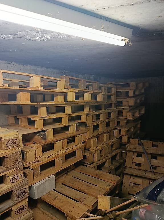 Pallets: Paletten  – Usato da Nesselnbach venduto da Honig21