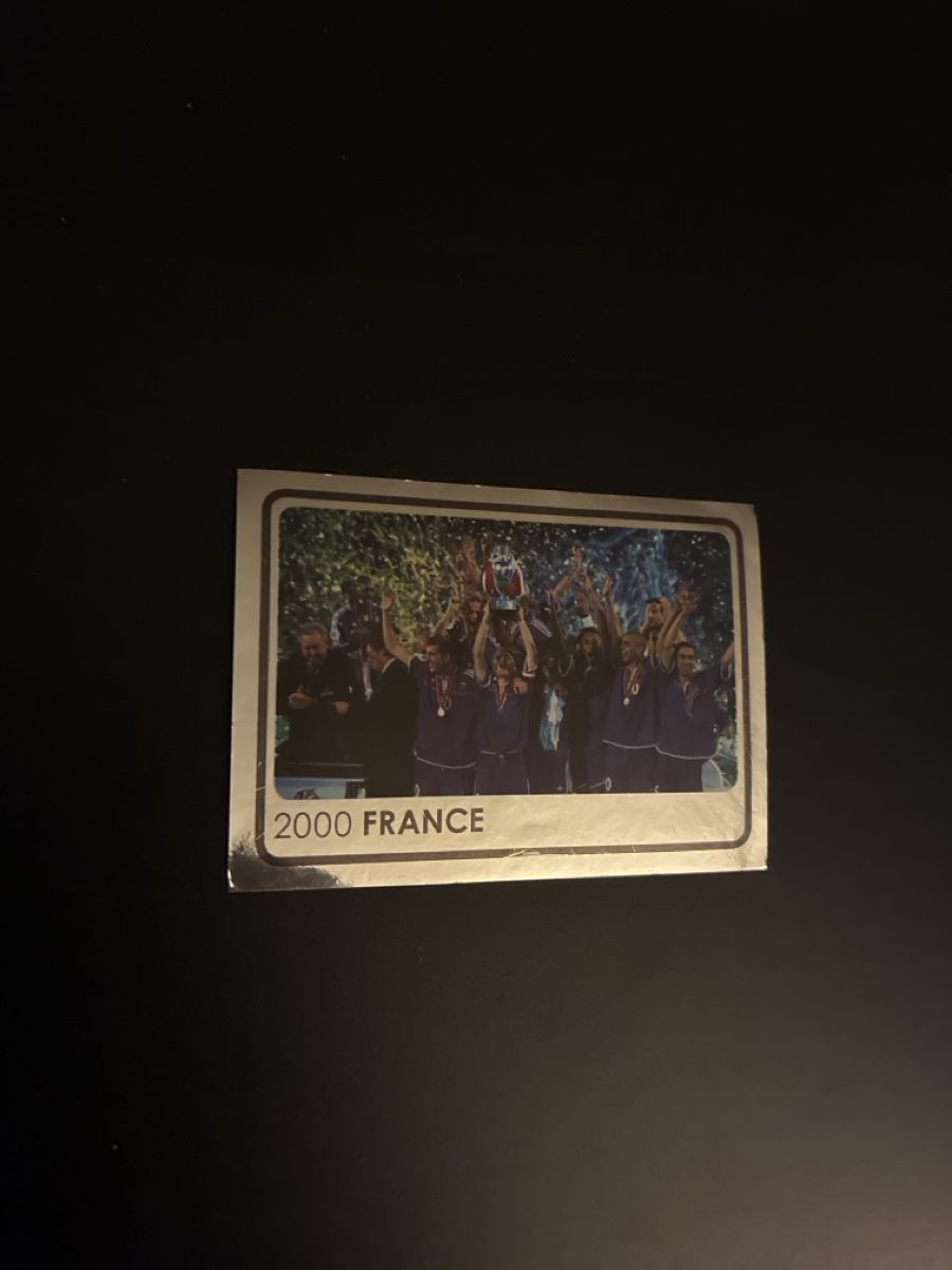 Panini Carte collezionabili: Panini UEFA 2006/2008 – Usato da Bern venduto da Matteooderso 2