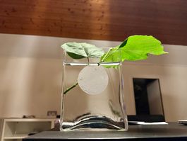 flache moderne Vase