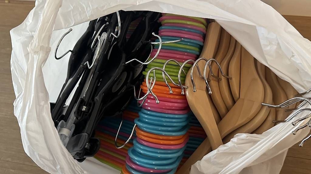 Appendiabiti: Kinderkleiderbügel – Usato da Reinach BL venduto da Enodel 1