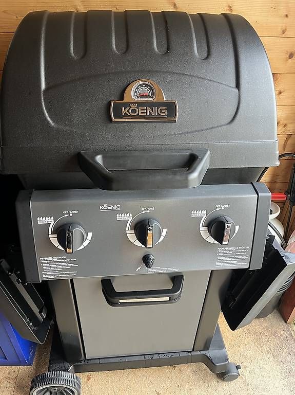 König Griglie: Sehr gepflegte König Grill – Usato da Uznach venduto da erfan01