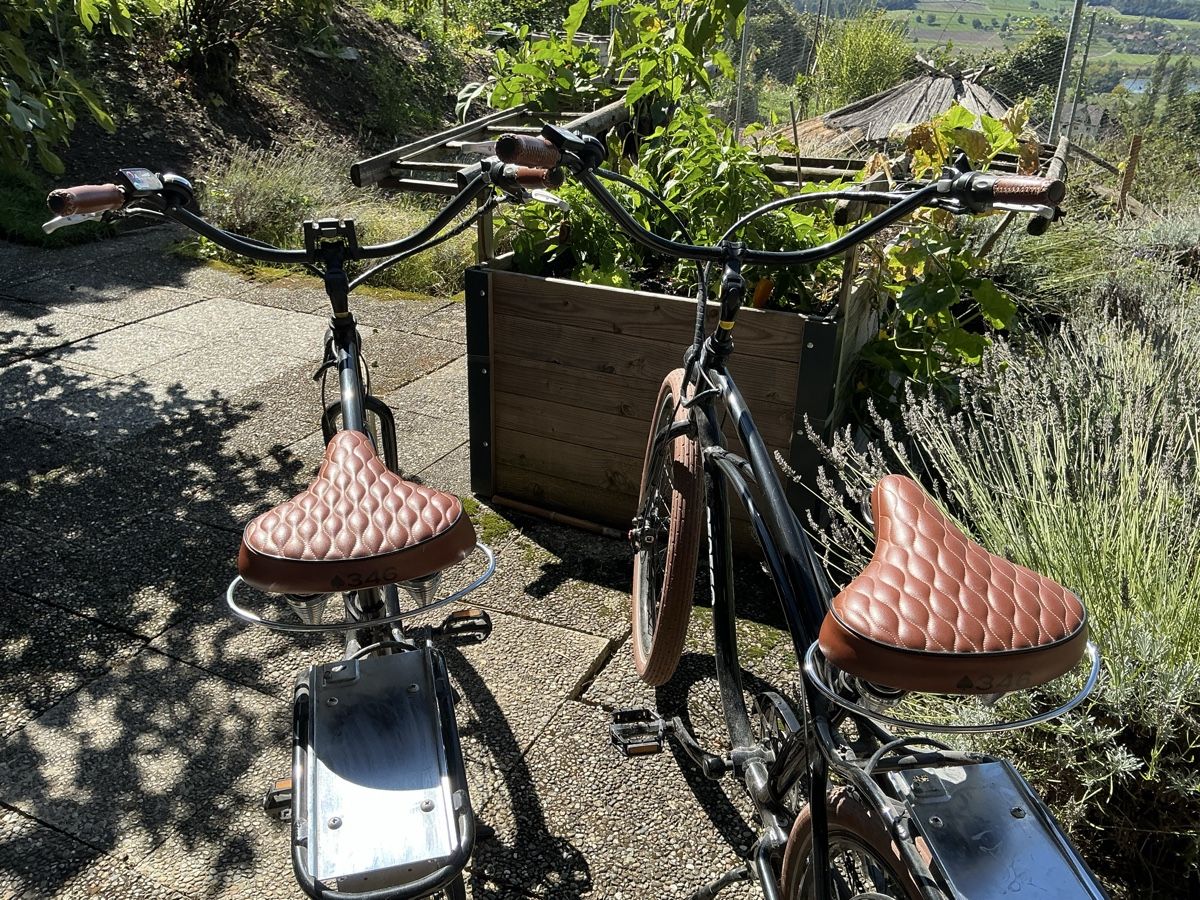Biciclette: Ebike, Cruiser – Usato da Nussbaumen TG venduto da Hejo1 6