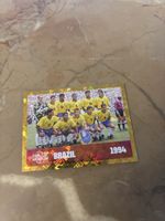 Panini Bild FWC15
