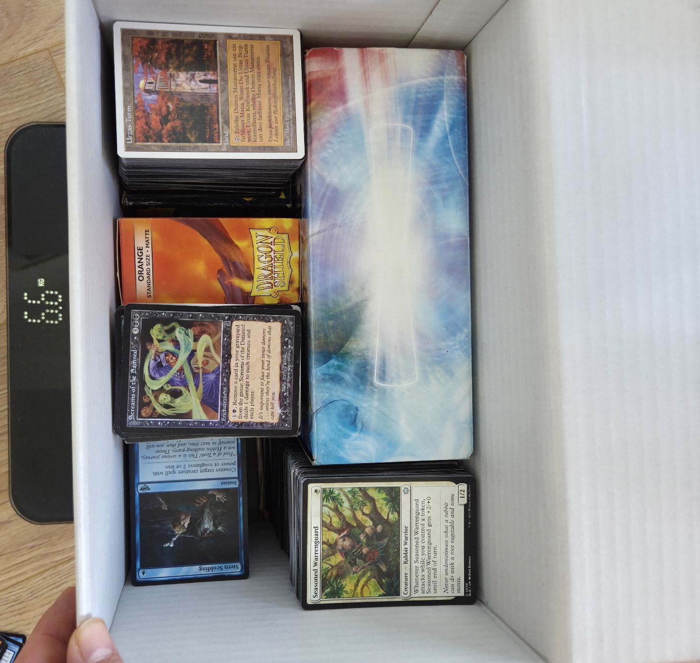 Magic The Gathering Carte collezionabili: magic the gathering collection/sammlung - mtg cards – Nuovo (secondo la descrizione) da Basel venduto da _Mace_ 1